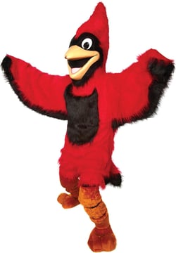 TCDesignerProducts Friendly Cardinal Mascot Costume, School Spirit Sports Fan Gear, Football Cheerleader Accessories, Homecoming