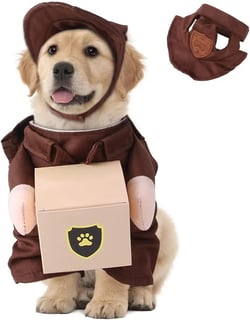 DUUCLUME:Embrace Pet Life Duuclume Mailman Dog Costume, Funny Delivery Guy Clothes with Cap for Kitten and Puppy for Halloween Christmas S