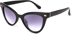 FEISEDY Cat Eye Sunglasses Fashion Sunglasses Trend Glasses for Men and Women B2563 01 Black 50 Millimeters