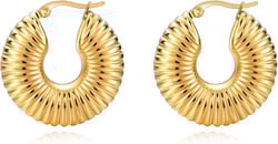 MYNENEY Croissant Earrings Twisted Round Hoop Earrings Chunky Hoop Earrings Silver/Gold Post Earrings Huggies for Women Great Birthday/Christmas Gifts
