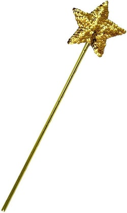 Women's Star Wand