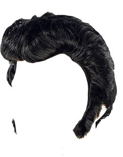 City Costume Wigs Black Elvis Wig With Sideburns for Men… (black)