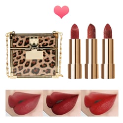 Erinde Leopard Matte Lipstick Makeup Set, Non-Stick Cup Red Lipstick, Long-Lasting Wear, Not Fade Waterproof, Moisturizing Makeup Lip Stain, Color Sensational, Mother's Day Makeup Gifts for Women Set A