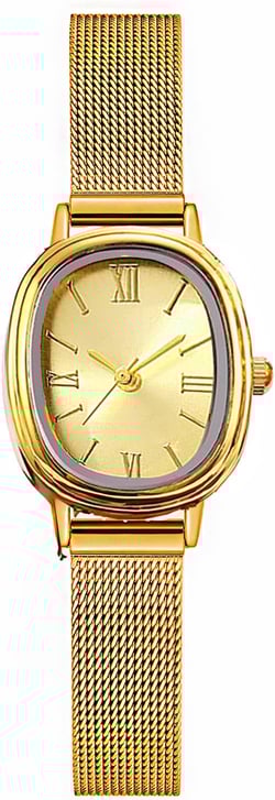BESTKANG Women Watches Stainless Steel Mesh Strap Waterproof Quartz Wristwatch Fashion Oval Women's Bracelet Watch Gold